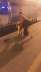 同好共享 大马路上露天玩狗 让路人看 贱狗吓尿了