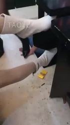 酒吧双调狗狗