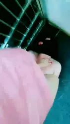 踩踏专场