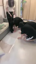 圣水喝的好快啊