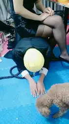 主人狂虐贱狗