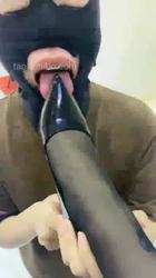 新人双狗争宠 恋脚