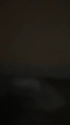 北美留学生 激情后人
