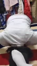 调母畜 续集