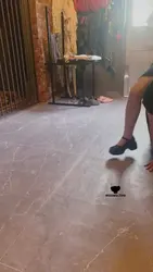 瑞拉小主 遛狗