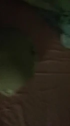 坦克骚妻开发中 想群P她