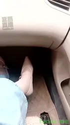 司机好像是个狗