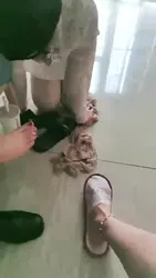 双女王调一只母狗