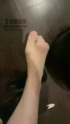踢裆胖母狗