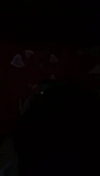 看91视频后入娇妻 幻想说骚话