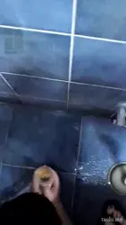厕所藤条 强迫升水 小可怜哭