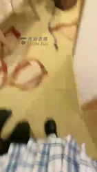 白丝羞辱窒息闻味痛苦折磨