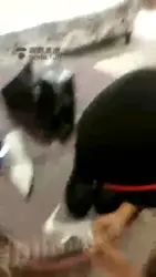 高清 舔鞋