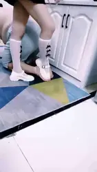 教育首次上课的狗狗