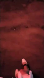 第一次带小狗狗露出