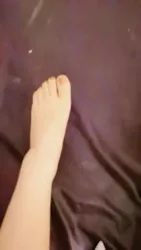 线下调狗