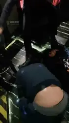 KTV训两条狗奴