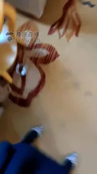 双女王调贱狗