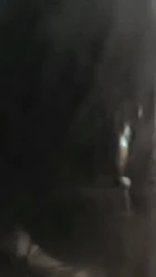妹子主动要给我口