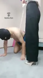 居家遛狗骑马