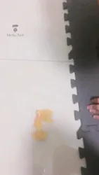我们随意好不好 高跟虐乳 高跟喂食