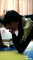 耳光 口水 鞭打 脚喂食 洗脚水