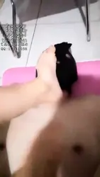 耳光 喂食 舔脚
