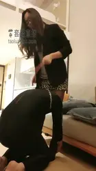 OL制服杭州人形犬