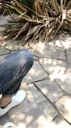 守着两个素人野外调教