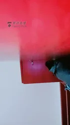 高清 舌吻口舌 舔 啪啪啪