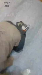 丫丫 剧情 调教卖水小弟 舔鞋 舔脚 深喉