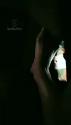 高清 电影院调狗 下部