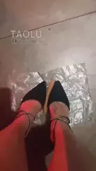第一视角 踩火腿 狗狗们吃饭了