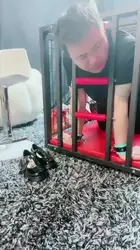 笼子训练家奴