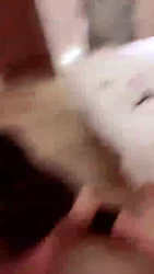 SP鞭打 踢裆