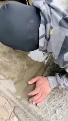 遛狗 幸福生活