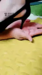 公主范调教一对活宝