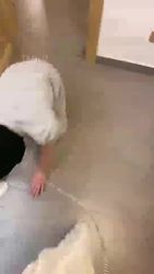 惩罚家m搞卫生