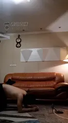 双主玩贱狗