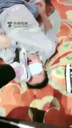 高清 狗舔鞋底