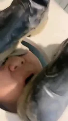 Esse殿下 地毯速进