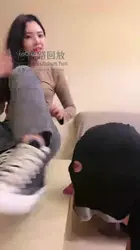 牛仔帆布 玩狗