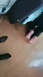 学校解封后开始调狗了 二