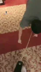 出门遛狗了
