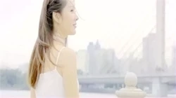 等风也等你 黄金宝儿