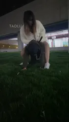 关关 户外溜溜狗