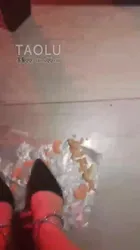 黑兔sama 第一视角 踩火腿 狗狗们吃饭了