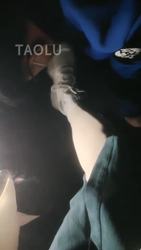 户外 深夜公园调狗