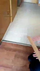 你的小白我的贱母狗