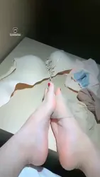 前半段秀足后半段调狗